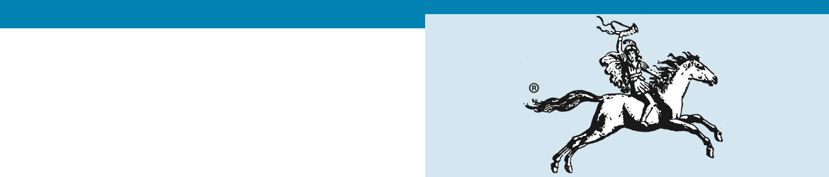 Verlag Das Wunderhorn Logo